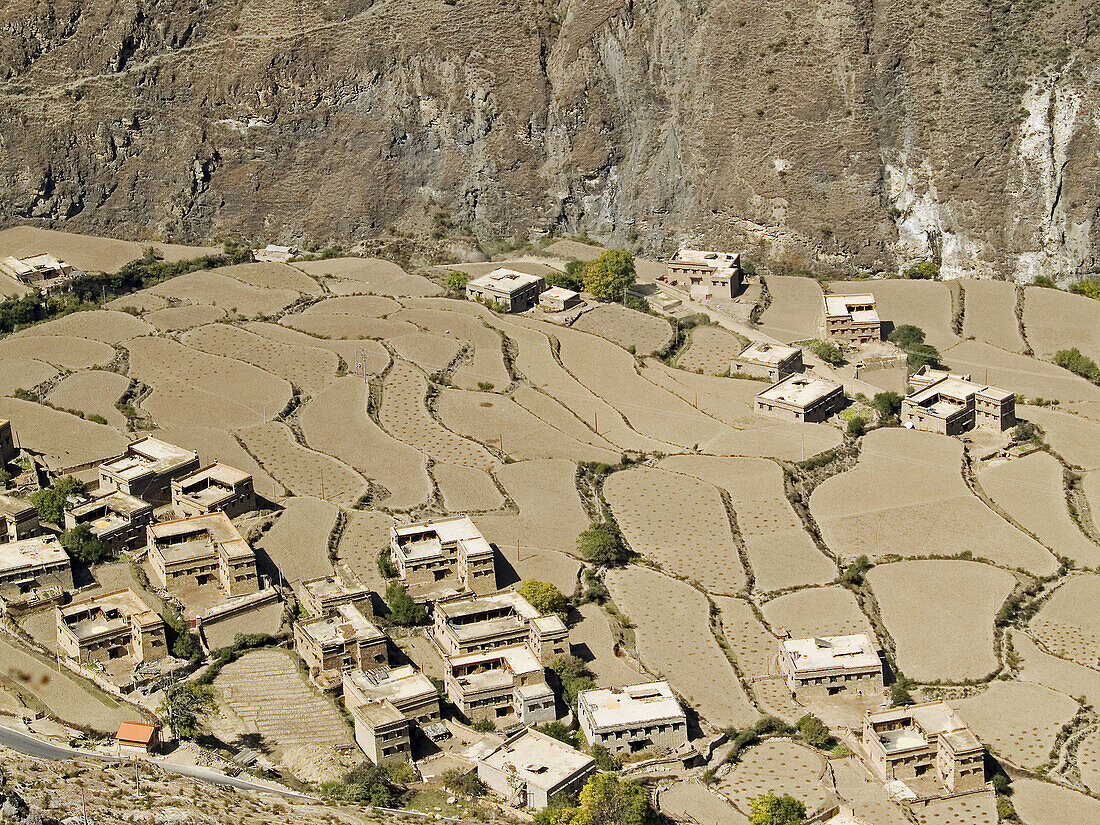 neatly terraced barley, Yading Tibetan village, China