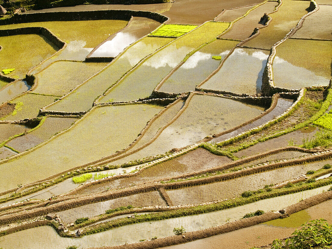 colorful Batad rice terraces, Philippines, a UNESCO World Heritage Site