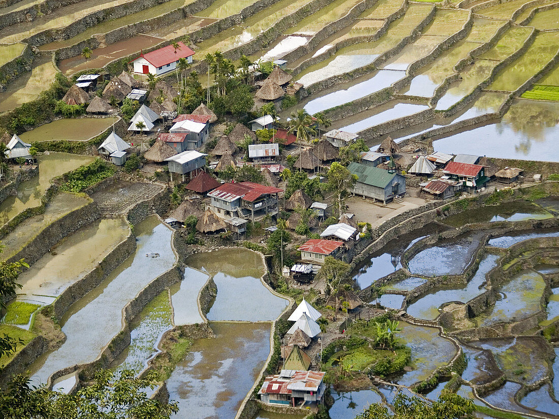 water filled rice terraces surround the Ifugao village of Batad, a UNESCO World Heritage Site, Philippines
