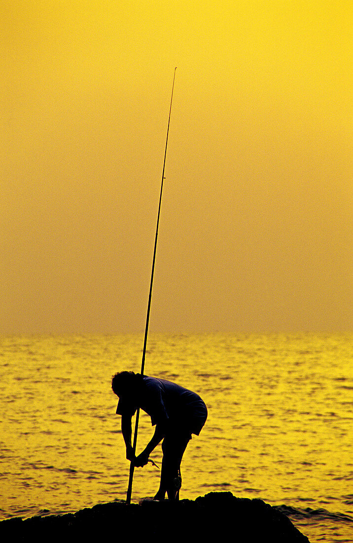 A fisherman with his steak at Hermal beach Goa, India.