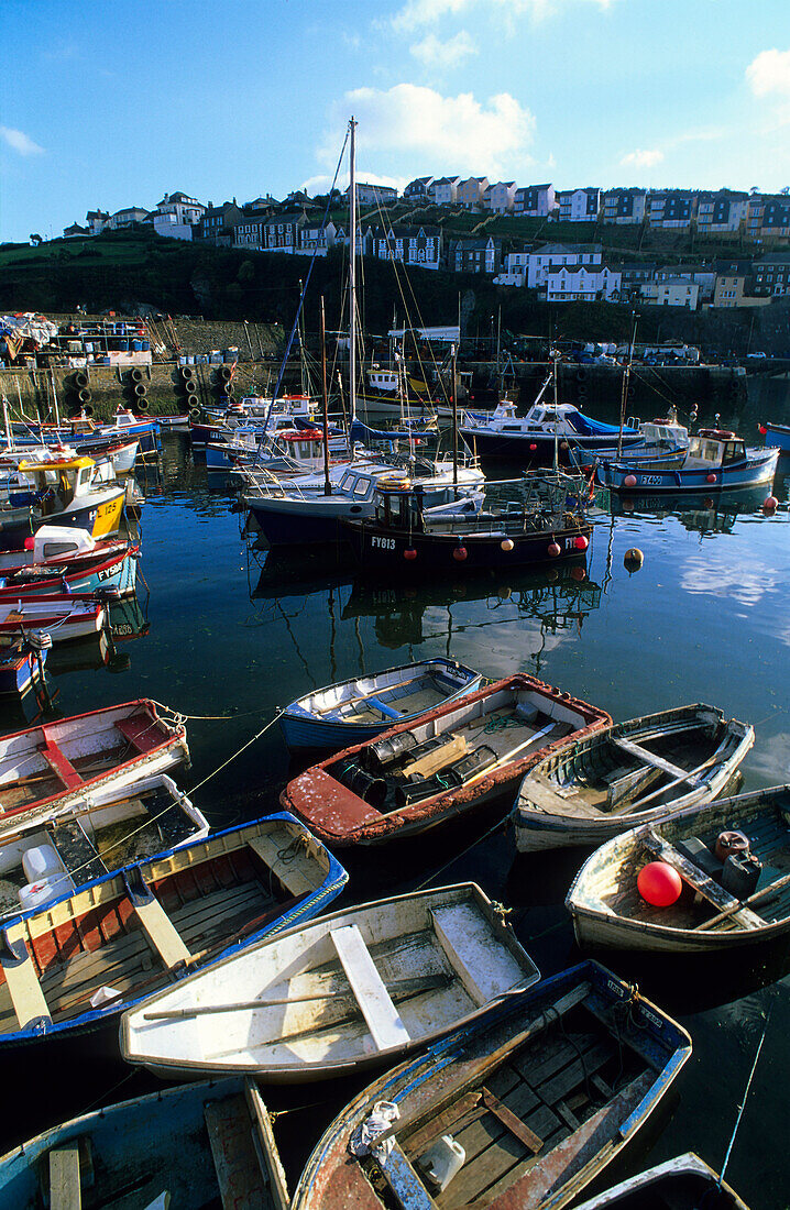Europe, England, Cornwall, harbour in Mevagissey