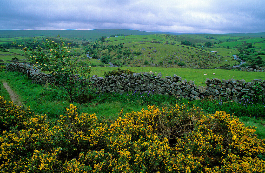 Europa, Grossbritannien, England, Devon, Dartmoor