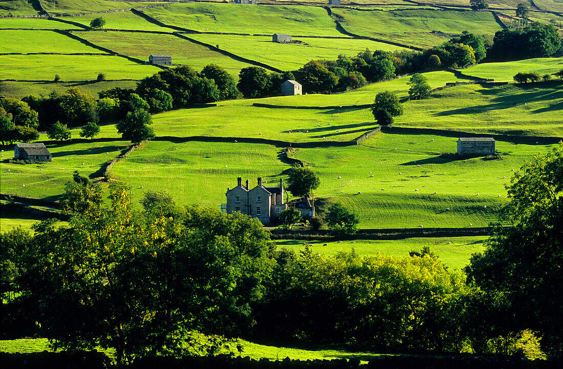 Europa, Grossbritannien, England, North Yorkshire, Yorkshiredales