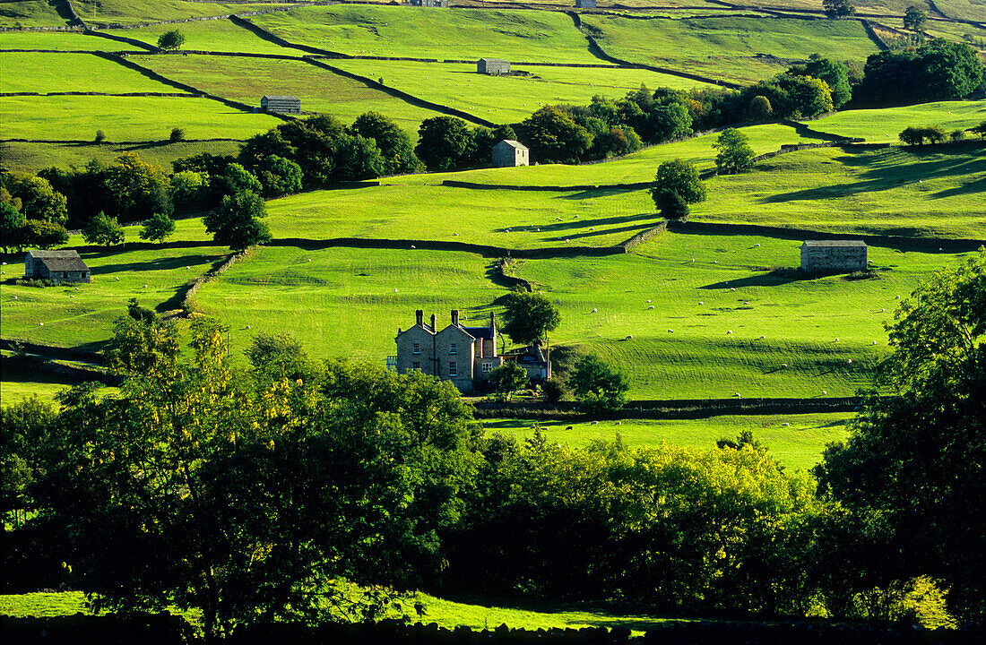 Europe, Great Britain, England, North Yorkshire, Yorkshiredales