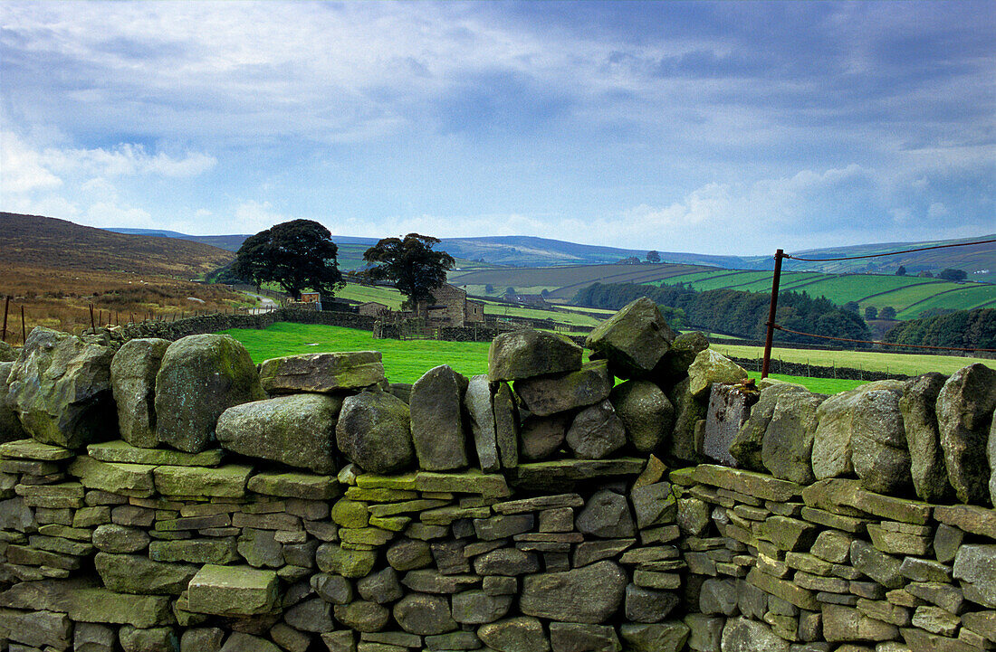 Europe, Great Britain, England, West Yorkshire, Bronte Country, Haworth Moor