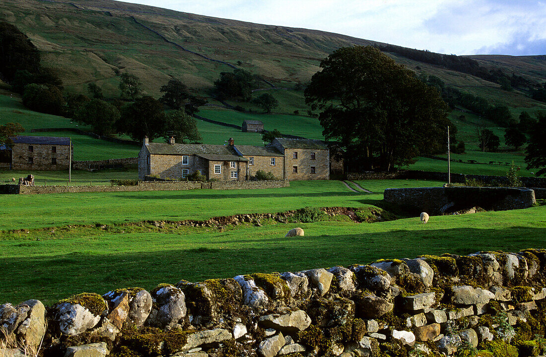 Europa, Grossbritannien, England, North Yorkshire, Yorkshire Dales