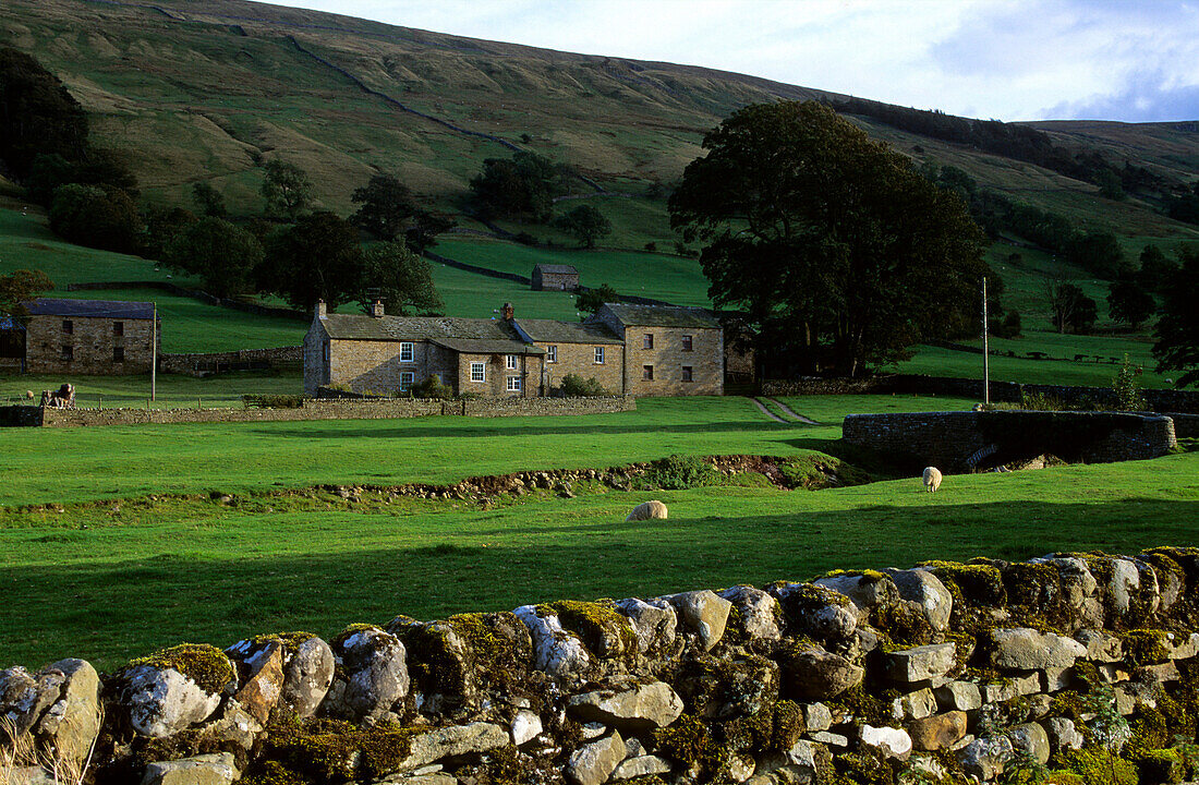 Europe, Great Britain, England, North Yorkshire, Yorkshire Dales