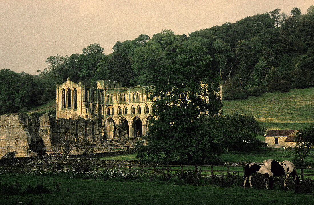 Europe, Great Britain, England, North Yorkshire, Helmsley, Rievaulx Abbey