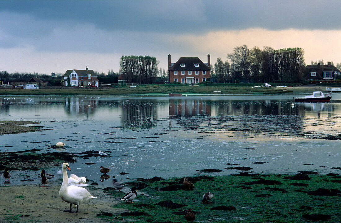 Europe, Great Britain, England, West Sussex, Bosham