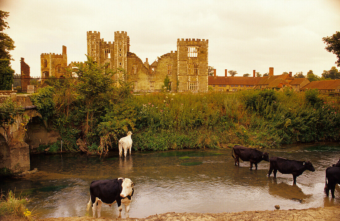 Europa, Grossbritannien, England, West Sussex, Midhurst, Cowdray Castle