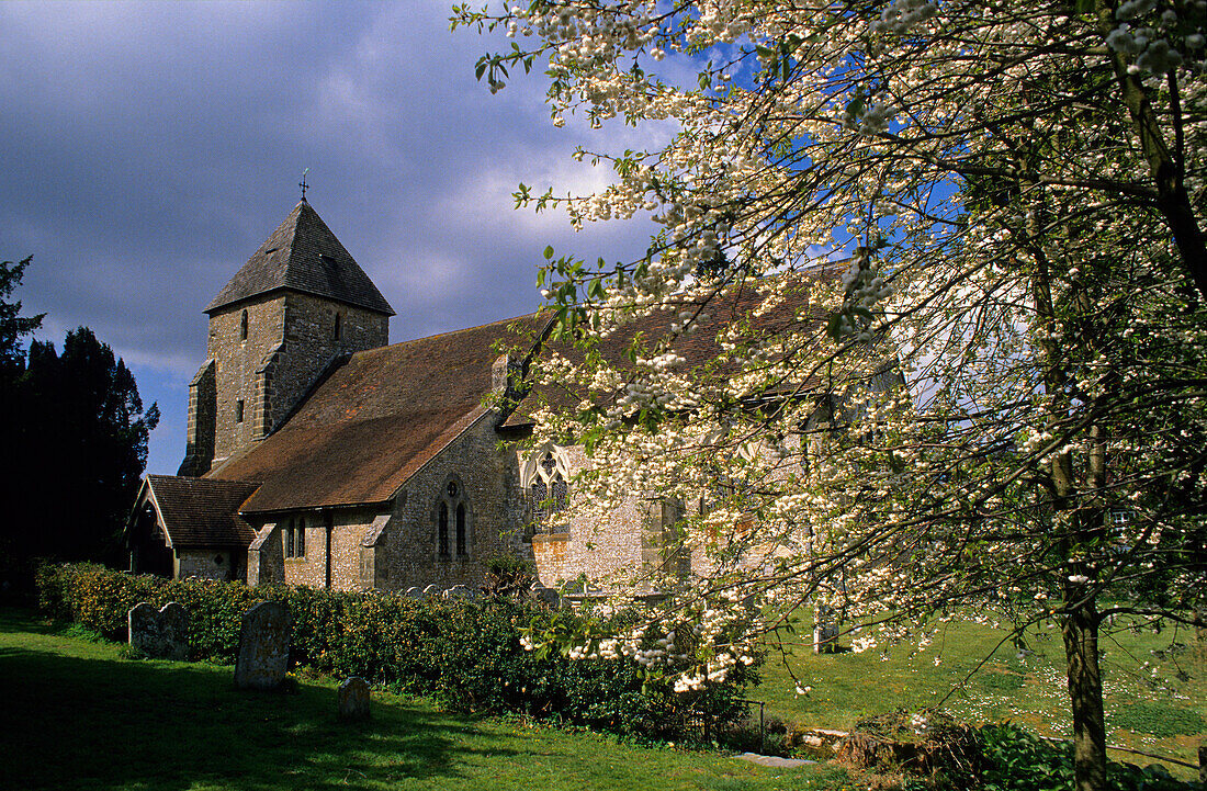 Europe, Great Britain, England, West Sussex, church in Sutton
