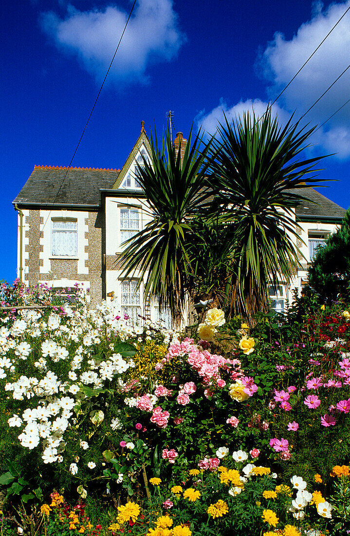 Europa, Grossbritannien, England, Cornwall, Cottage in Crantock