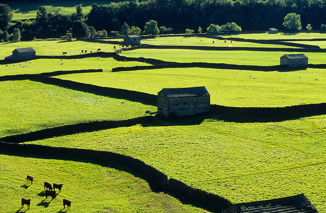 Europa, England, Yorkshire, North Yorkshire, Yorkshiredales