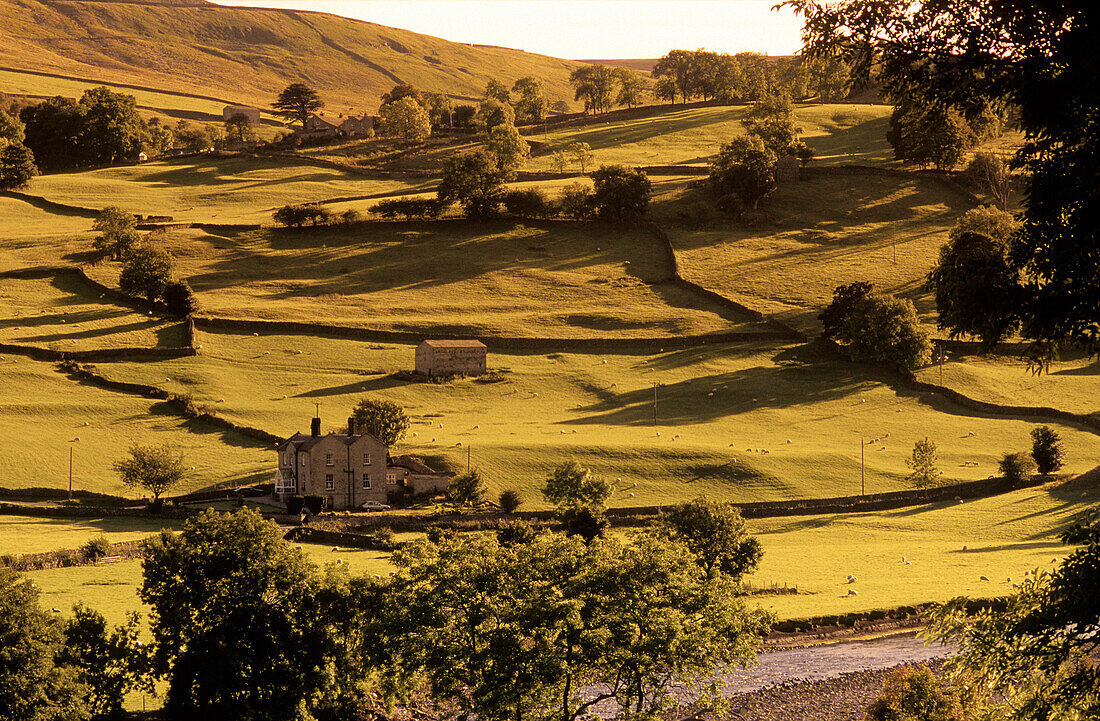 Europa, England, Yorkshire, North Yorkshire, Yorkshiredales