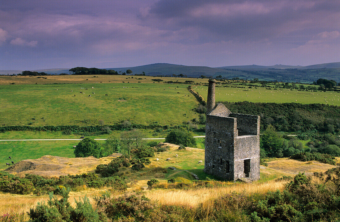 Europe, England, Devon, Dartmoor, near Mary Tavis, old tin mine