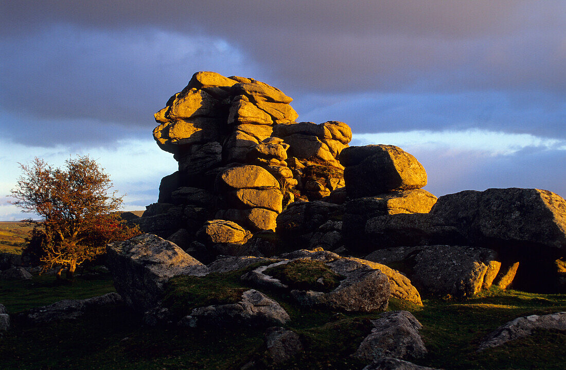 Europa, Grossbritannien, England, Devon, Dartmoor, Vixen Tor