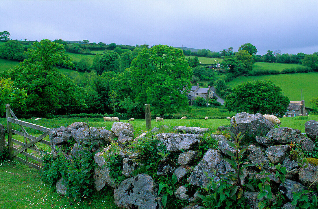 Europa, Grossbritannien, England, Devon, Dartmoor, Landschaft bei Merrivale