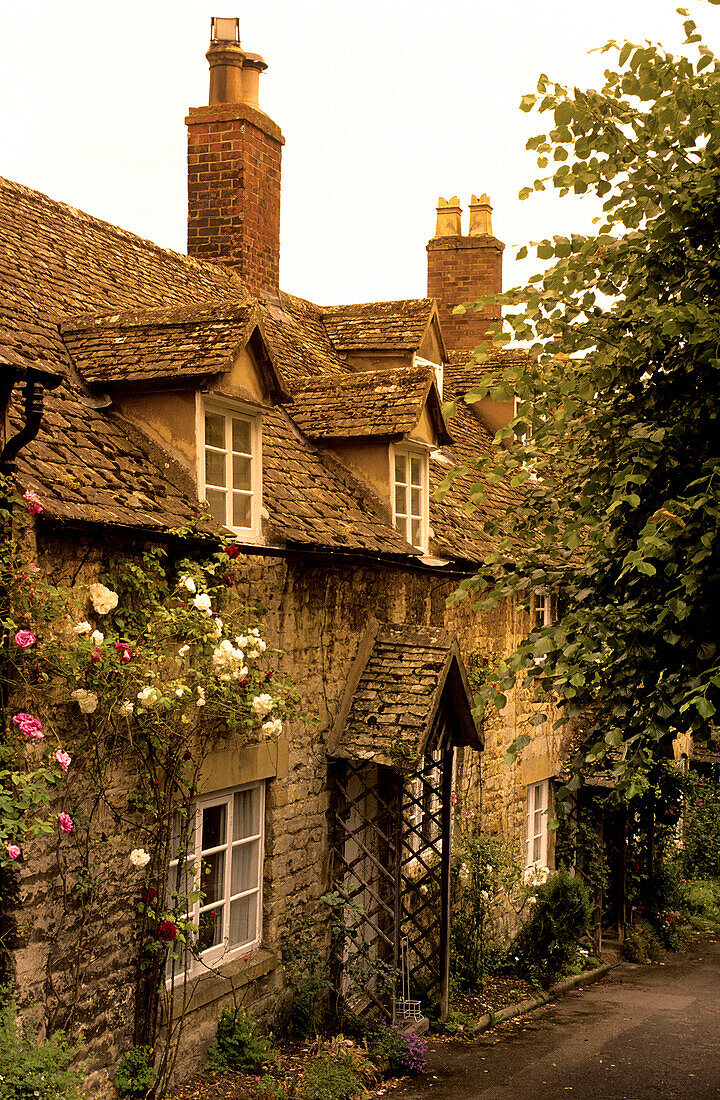 Europe, England, Gloucestershire, Cotswolds, Winchcombe, Vineyard Street