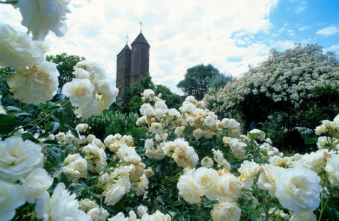 Europe, Great Britain, England, Sissinghurst Castle, [Sissinghurst's garden was created in the 1930s by Vita Sackville-West, poet and gardening writer, and her husband Harold Nicolson, author and diplomat]