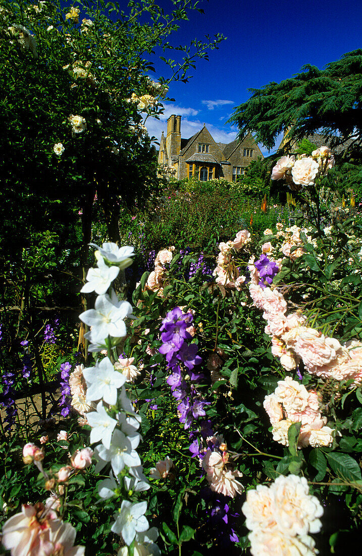 Europa, England, Gloucestershire, Cotswolds, Chipping Campden, Hidcote Manor Garten