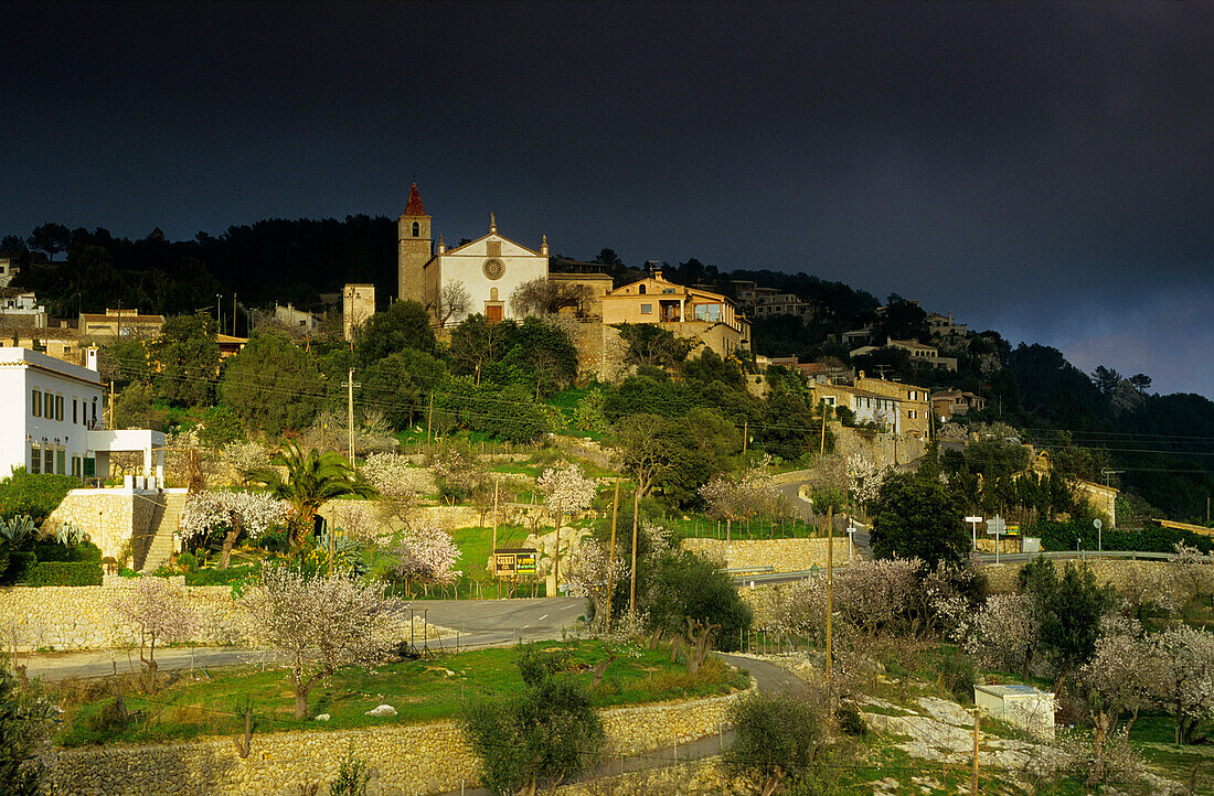 Europe, Spain, Majorca, Galilea