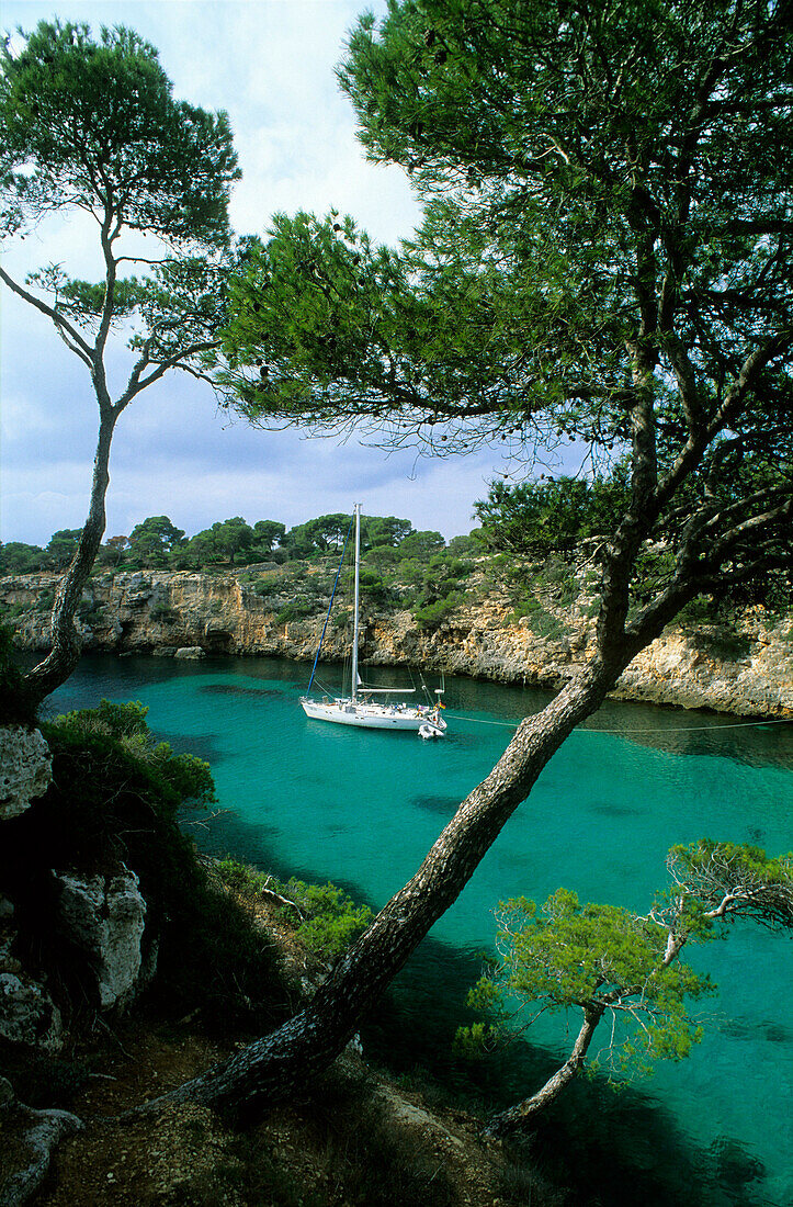 Europa, Spanien, Mallorca, Cala Pi, Bucht