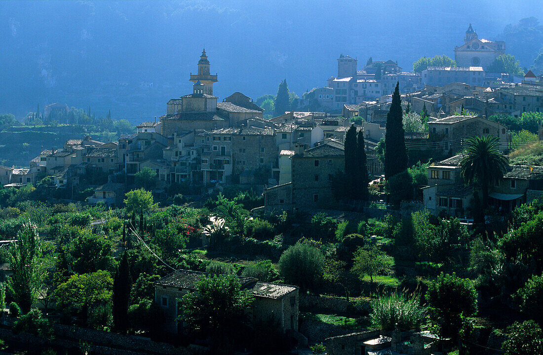 Europa, Spanien, Mallorca, Valldemossa