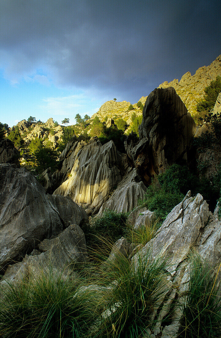 Europe, Spain, Majorca, near Sa Calobra, landscape