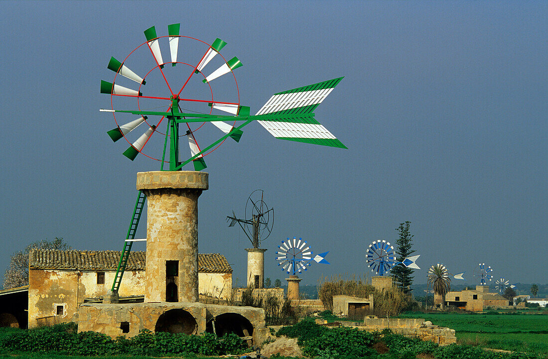 Europe, Spain, Majorca, near Sant Jordi, windmills
