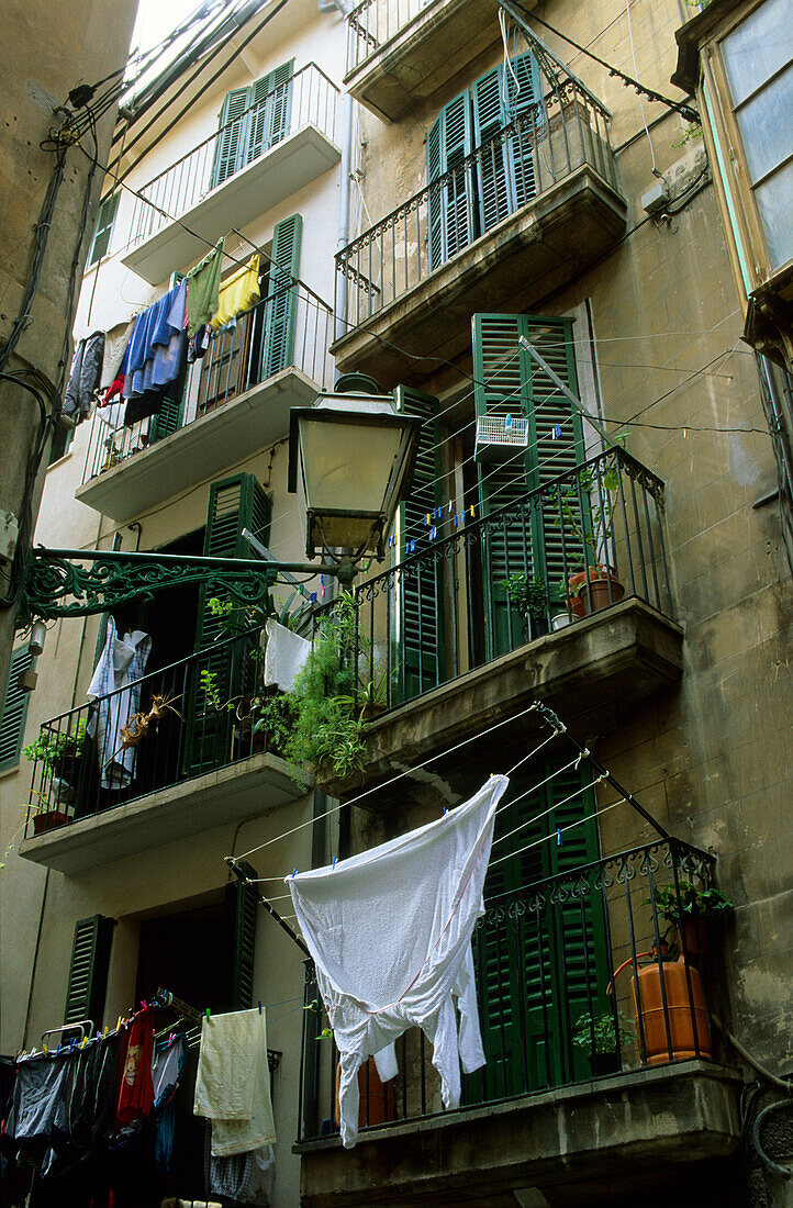 Europe, Spain, Majorca, Palma, historic center, balcony