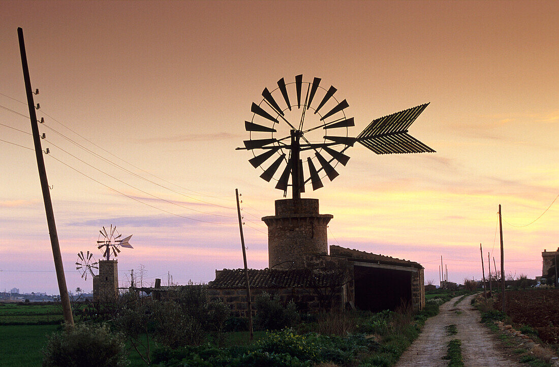 Europe, Spain, Majorca, near Sant Jordi, windmill