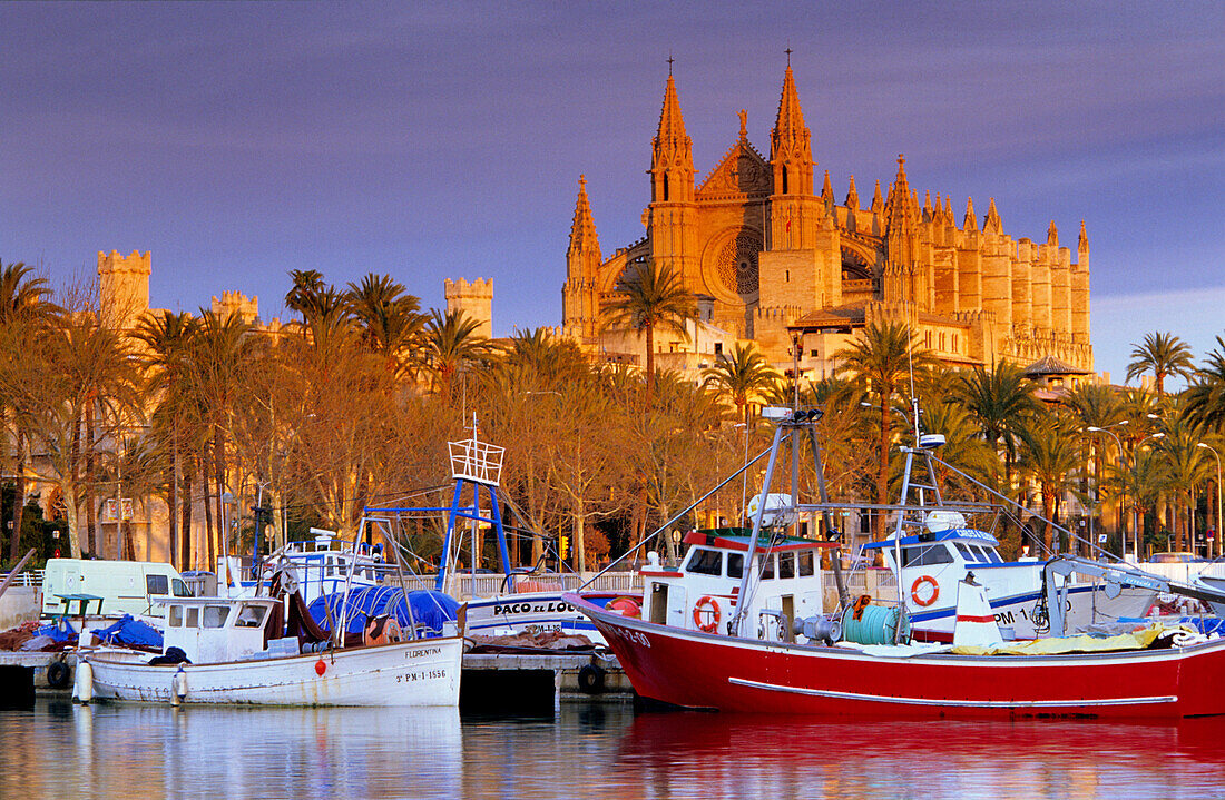 Europe, Spain, Majorca, Palma, Cathedral, La Seu, harbour