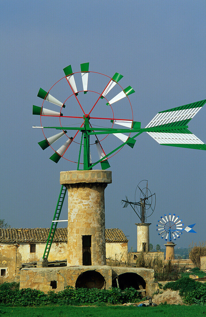 Europa, Spanien, Mallorca, bei Sant Jordi, Windmühlen