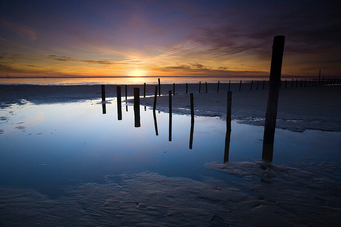 Pfähle am Strand von St. Peter Ording, Schleswig-Holstein, Deutschland