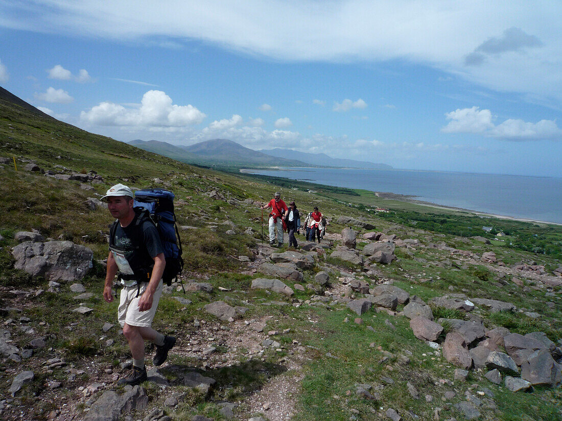 Hikers on the Dingle Way, Near Blennerville, Dingle Peninsula, County Kerry, Ireland