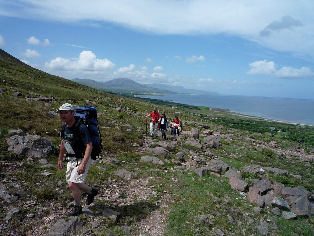 Wanderer auf Hügel nahe Blennerville, Dingle Way, Dingle Peninsula, County Kerry, Irland, Europa