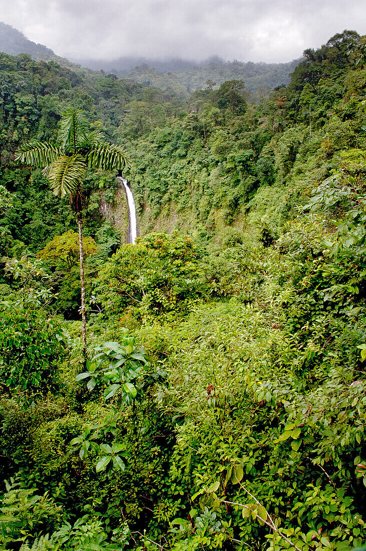 La Catarata waterfall near La Fortunas, Costa Rica, Central America