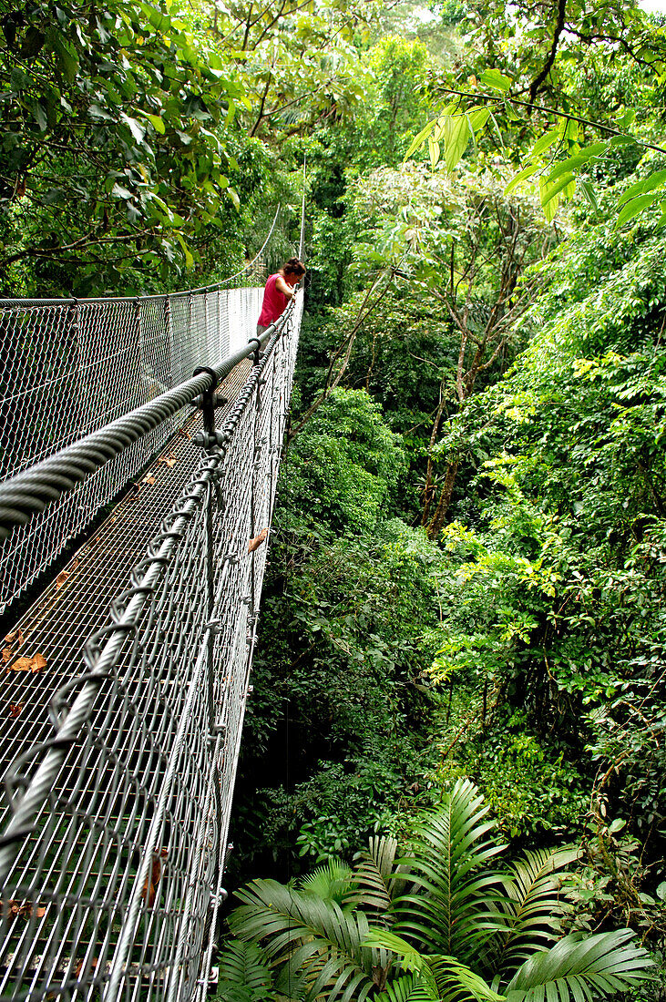 Frau überquert eine Hängebrücke im Regenwald, Arenal Hanging Bridges, Costa Rica, Mittelamerika