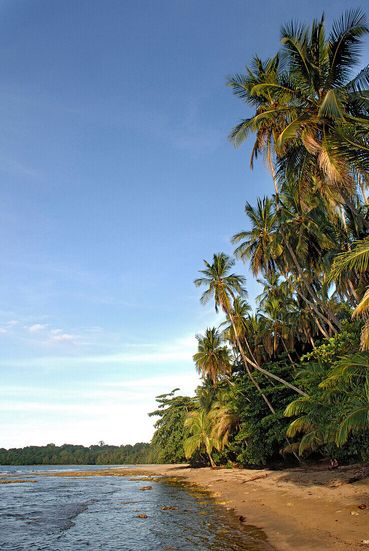 Strand an der Karibikküste nähe Puerto Viejo, Costa Rica, Mittelamerika