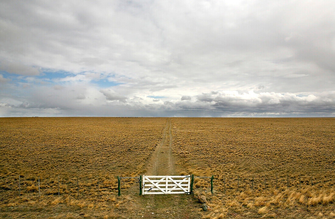 Gate and track near Rio Gallegos, Patagonia, Argentina, South America