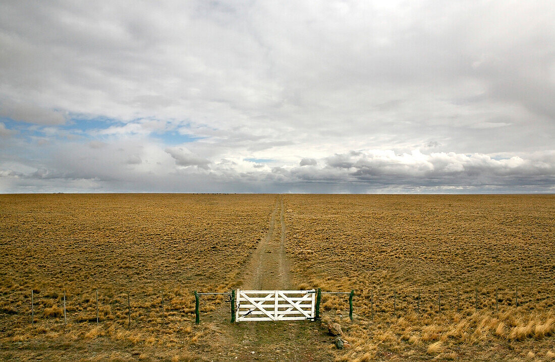 Tor und Weg in die Grassteppe bei Rio Gallegos, Patagonien, Argentinien, Südamerika