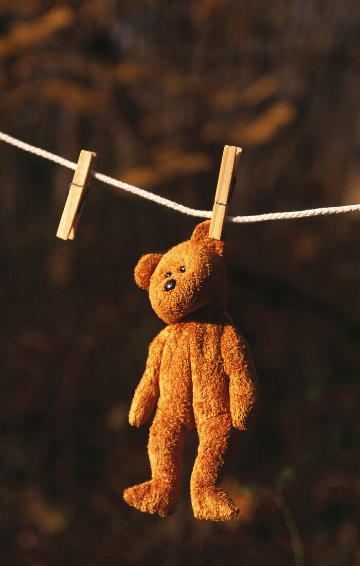 Teddy bear hanging from a clothesline