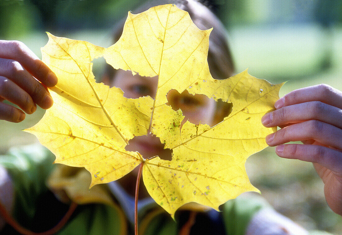 Child girl with yellow leaf cut as face