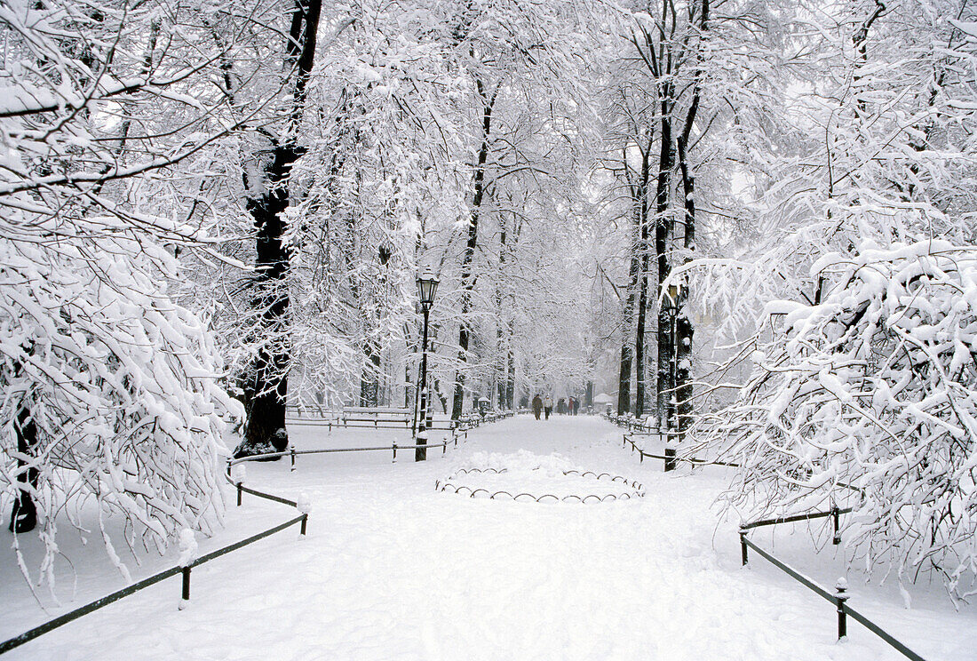 Park in winter. The Planty, Cracow. Poland