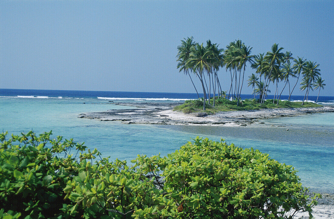 Pitti island. Lakshadweep. India