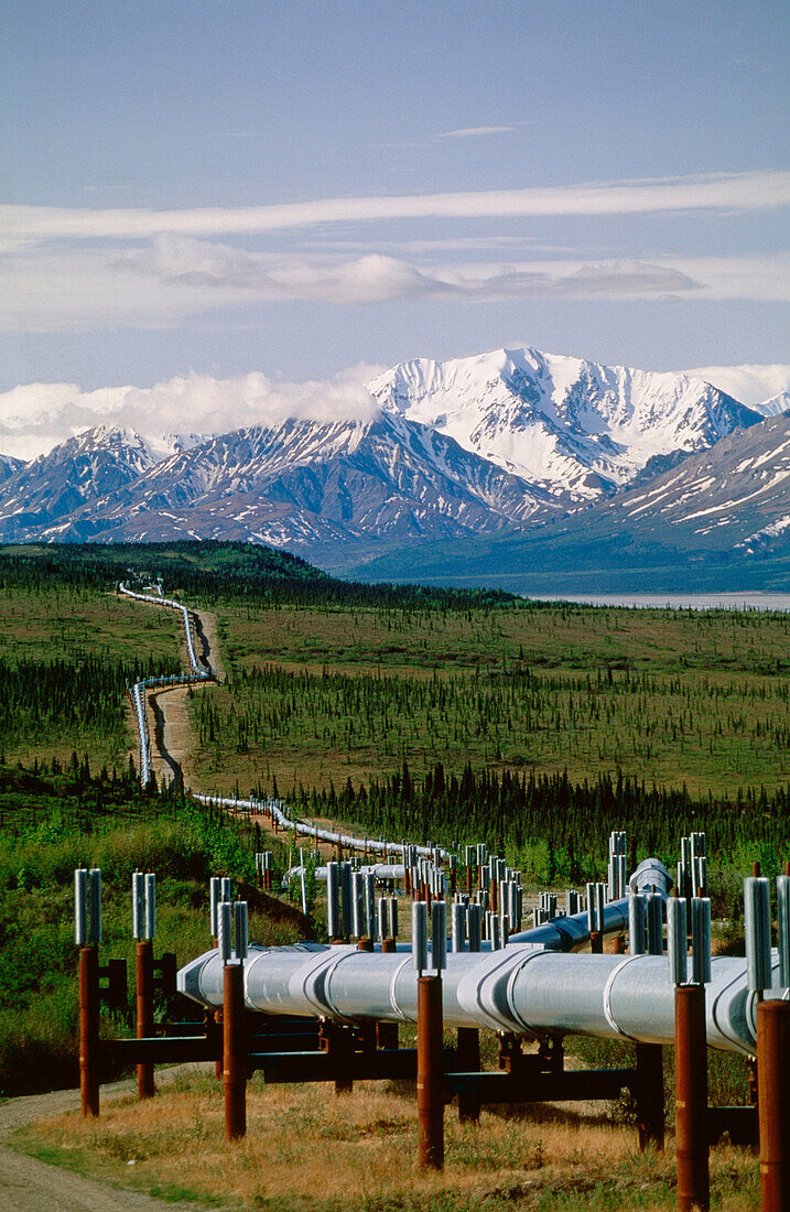 Trans-Alaska pipeline. Alaska. USA