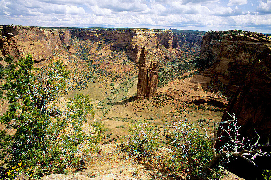 Canyon de Chelly National Monument. Arizona. USA.