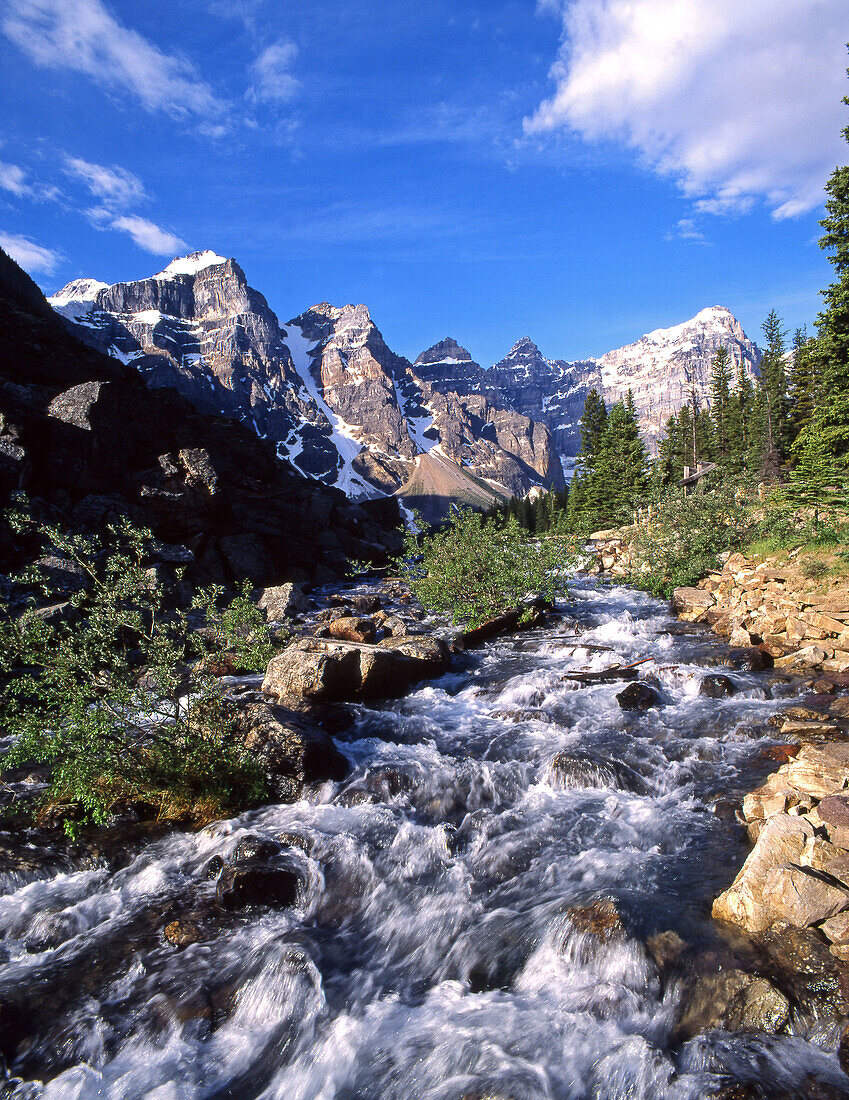 Moraine Creek. Banff National Park. Alberta. Canada