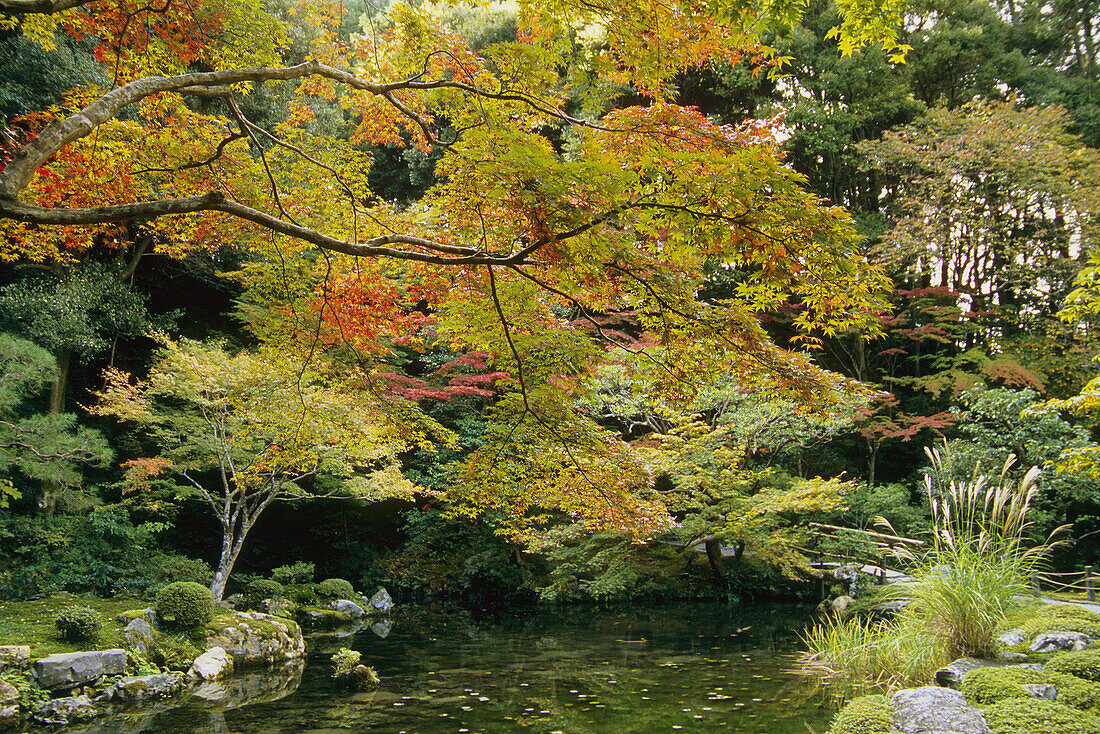 Nanzen-in garden in autumn, Nanzen-ji, Kyoto. Japan