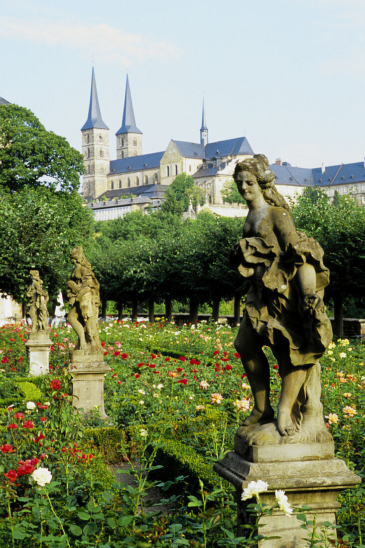 Germany, Bavaria, Bamberg, Rose Garden